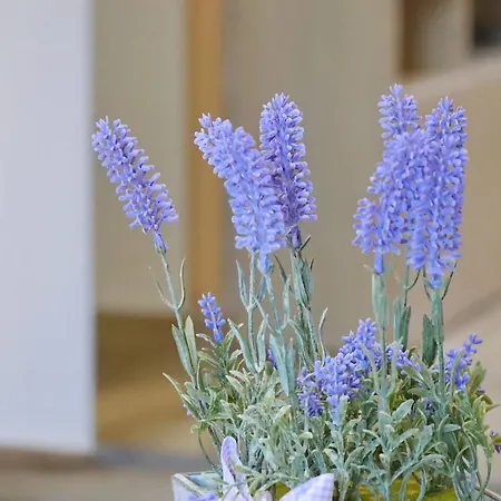 Lägenhet Seaside Hrka *