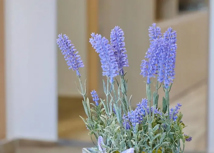 Apartamento Seaside Hrka *